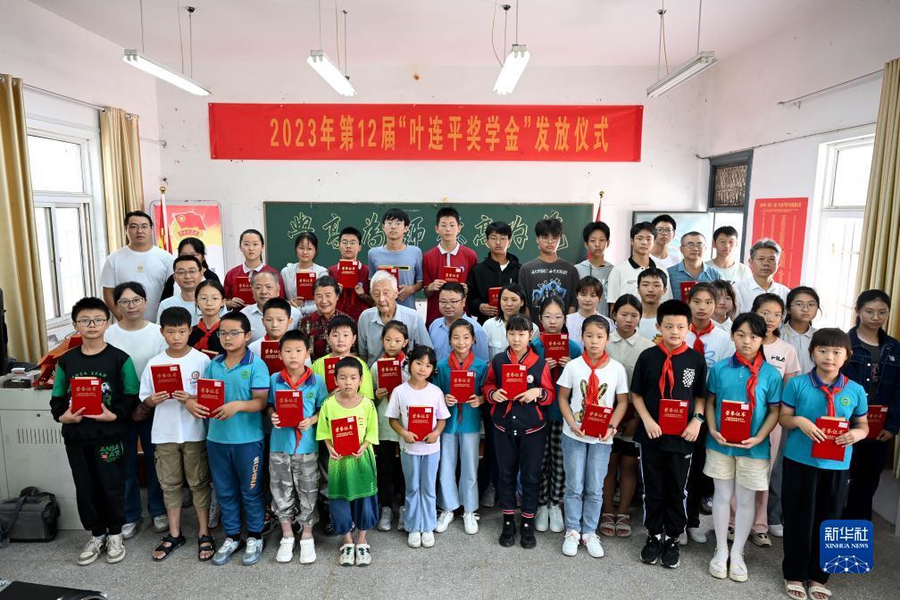 mg网站网络